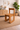 solid wood dining chair